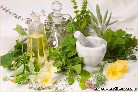 лекарственные растения и масла